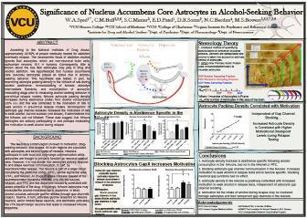 Significance of Nucleus Accumbens Core Astrocytes Alcohol-Seeking/Behavior infographic poster